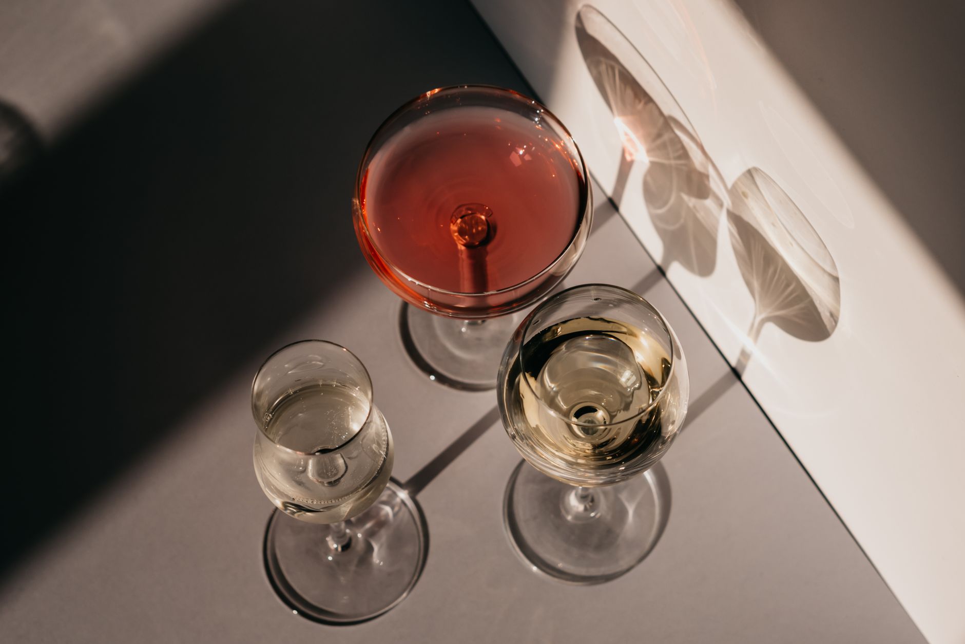 How Does a Blind Wine Tasting Work? A Beginner’s Guide